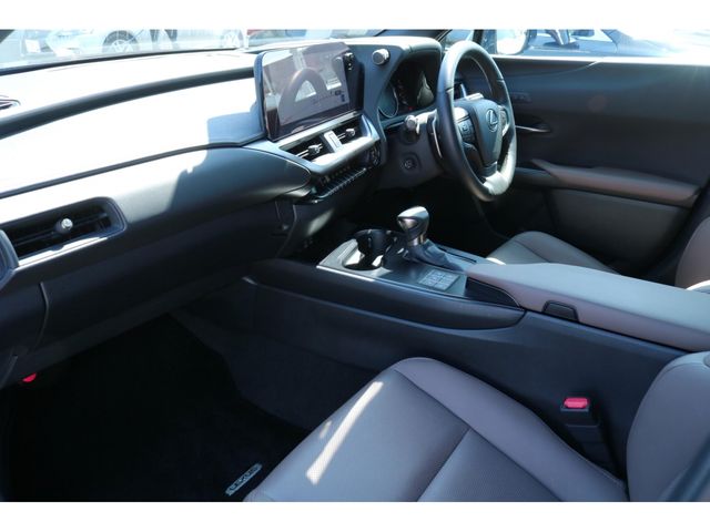 LEXUS UX250h