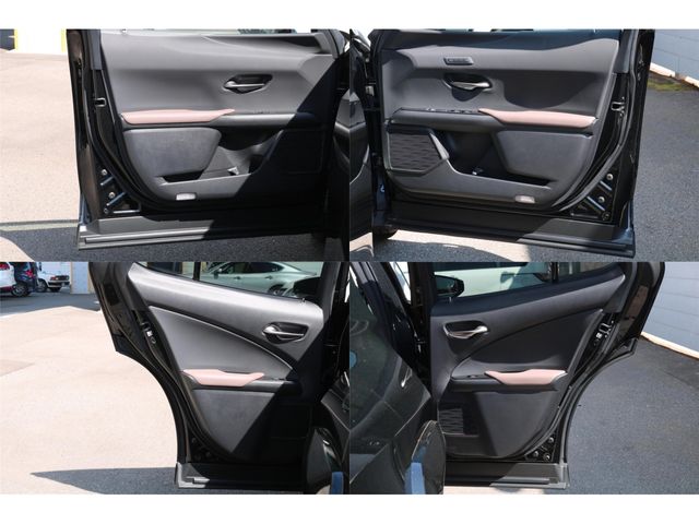 LEXUS UX250h
