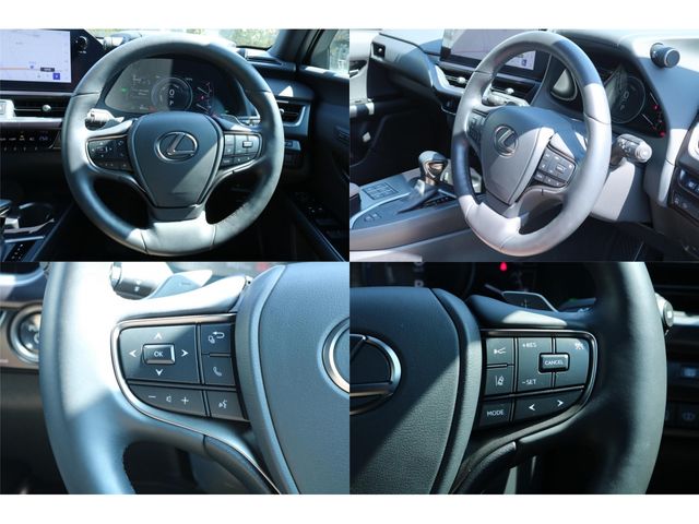 LEXUS UX250h