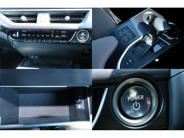 LEXUS UX250h