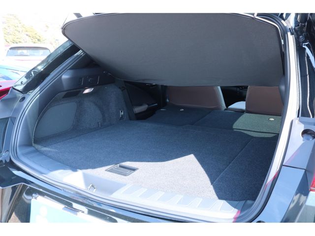 LEXUS UX250h