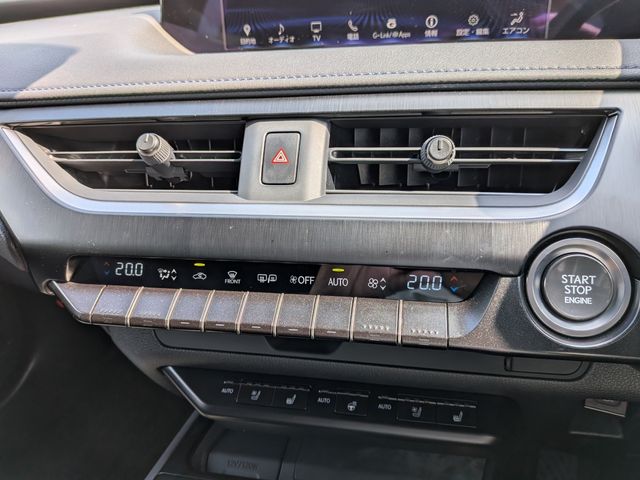LEXUS UX200