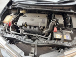 AURIS