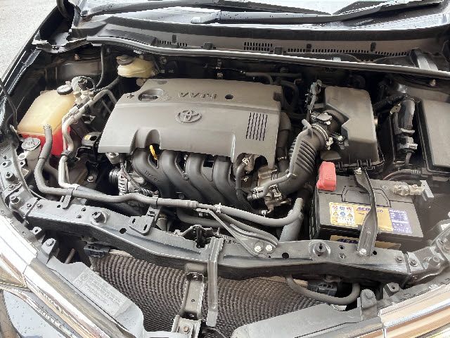 AURIS