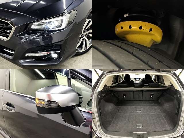 LEVORG