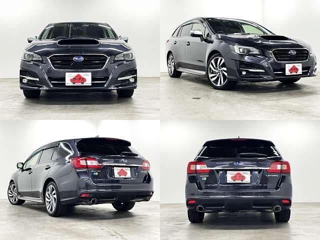 LEVORG