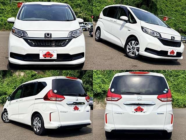 FREED plus HYBRID