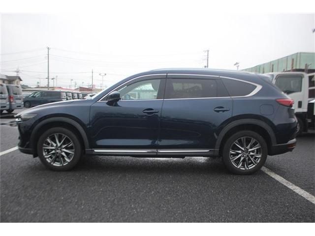 CX-8