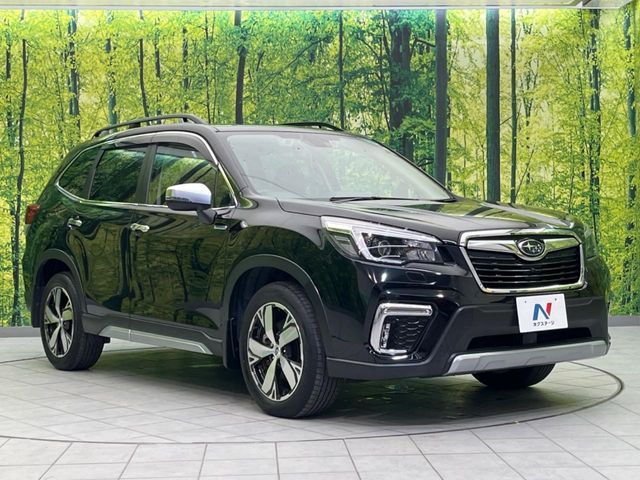 FORESTER