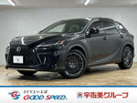 LEXUS RX500h