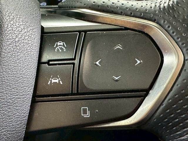 LEXUS RX500h