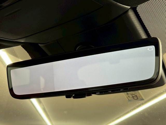 LEXUS RX500h