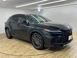 LEXUS RX500h