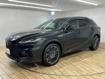 LEXUS RX500h