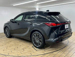 LEXUS RX500h