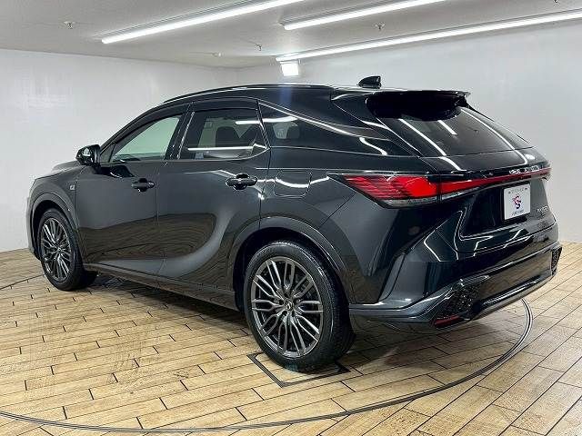 LEXUS RX500h