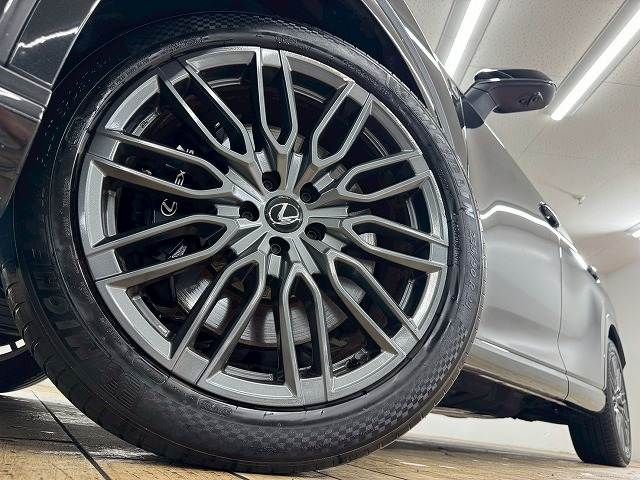 LEXUS RX500h