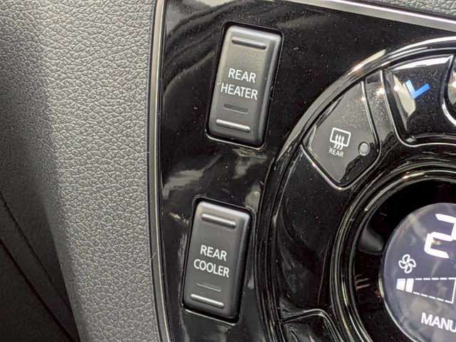 CARAVAN van 4WD