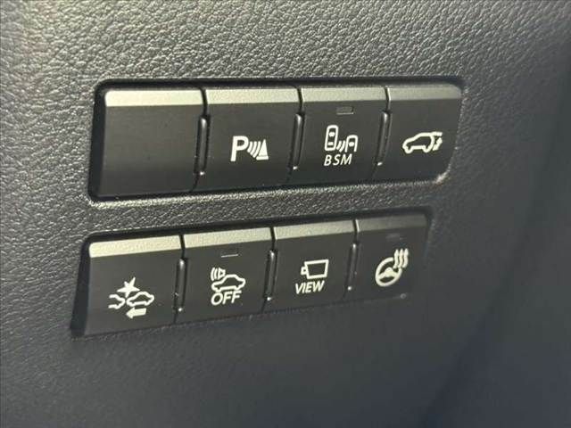 LEXUS NX300h AWD
