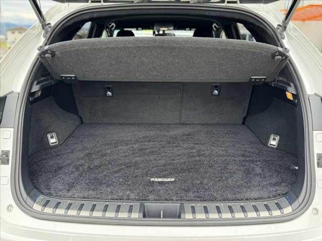 LEXUS NX300h AWD