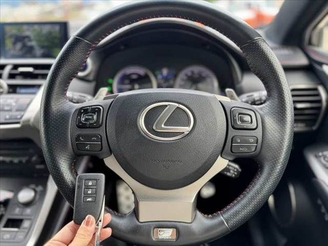 LEXUS NX300h AWD