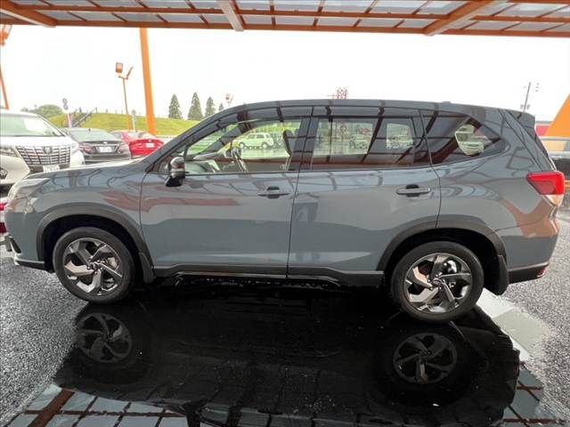 FORESTER