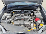EXIGA CROSSOVER 7