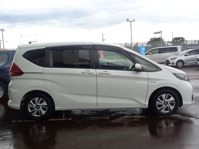 FREED plus HYBRID