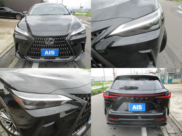 LEXUS NX350h AWD
