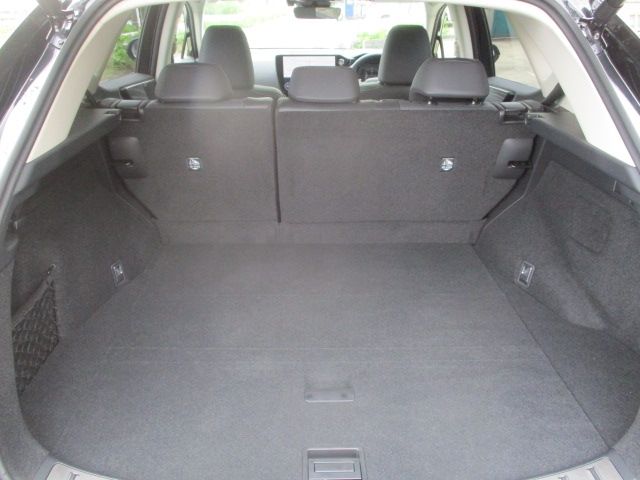 LEXUS NX350h AWD