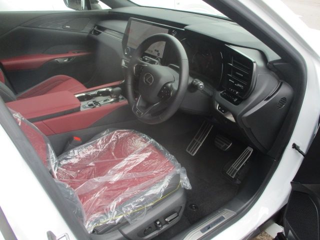 LEXUS RX500h