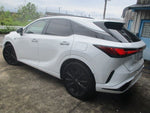 LEXUS RX500h