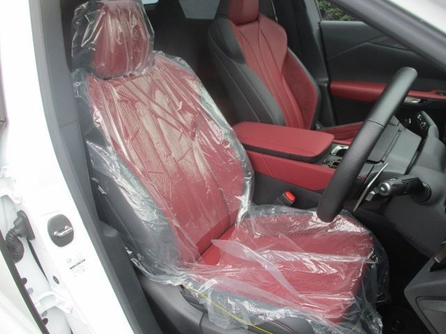LEXUS RX500h