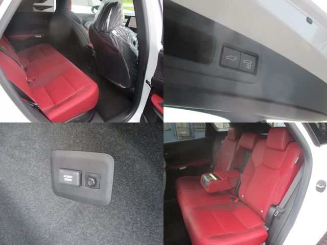 LEXUS RX500h