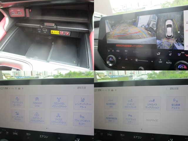 LEXUS RX500h