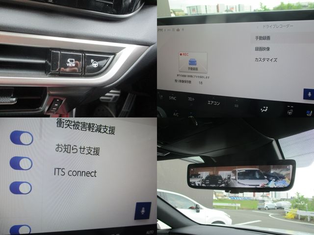 LEXUS RX500h