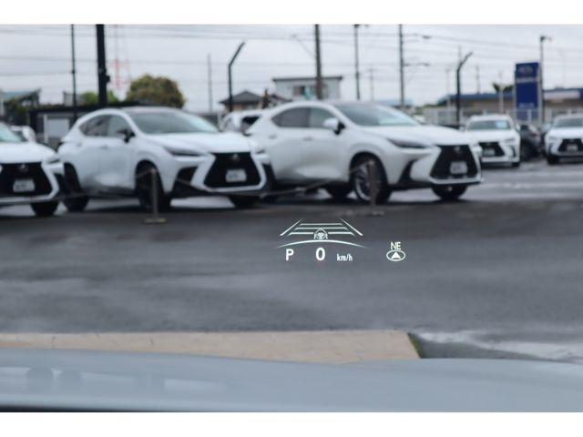 LEXUS NX350h