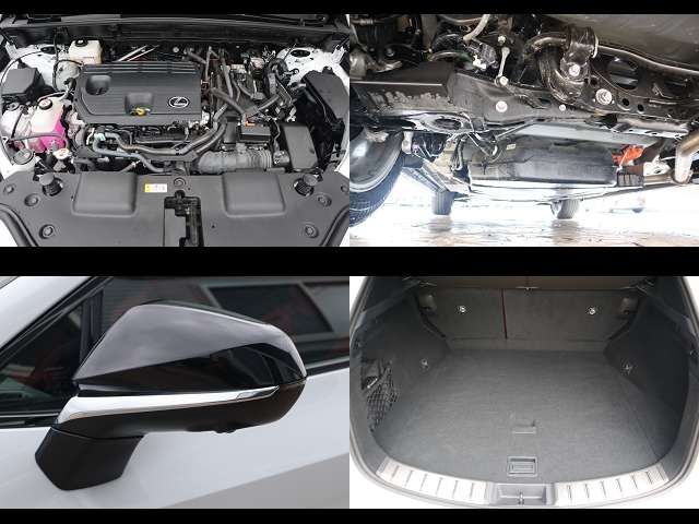 LEXUS NX350h