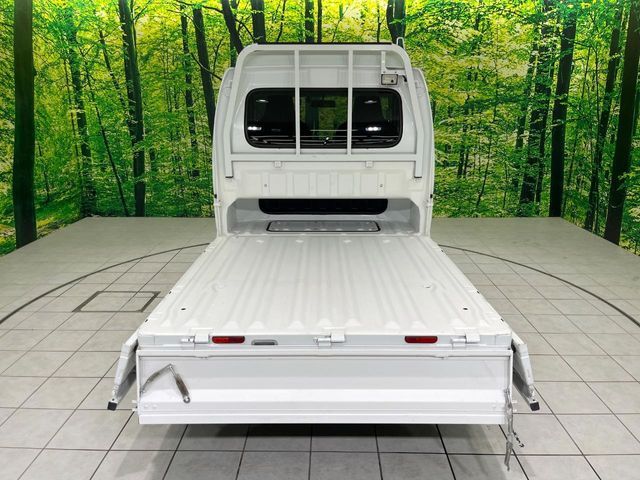 Super CARRY truck 4WD