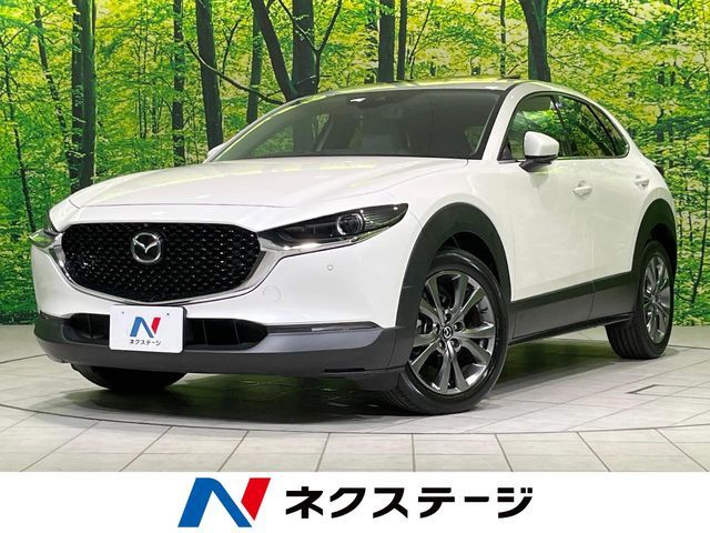 CX-30