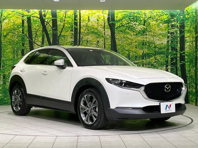 CX-30