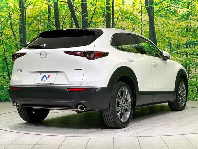 CX-30