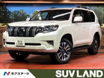 LANDCRUISER PRADO