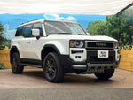 LANDCRUISER 250