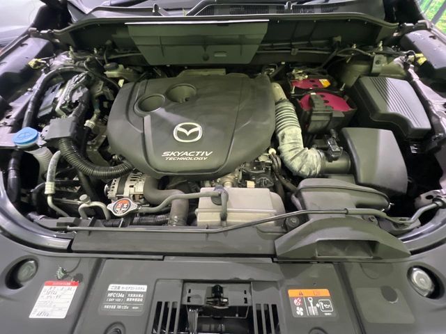 CX-8