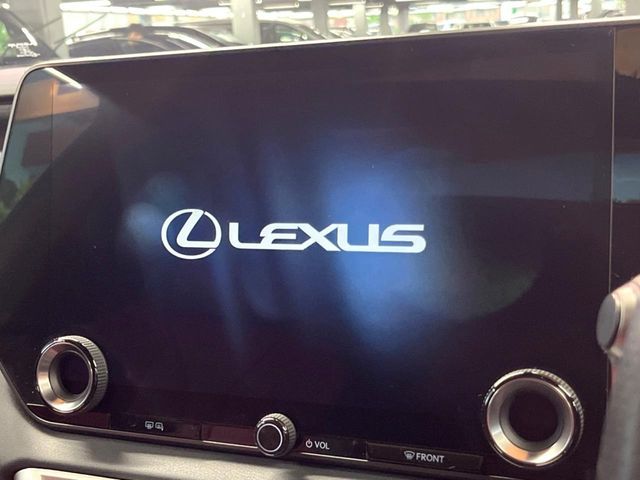 LEXUS RX500h