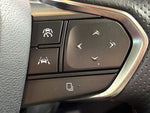 LEXUS RX500h