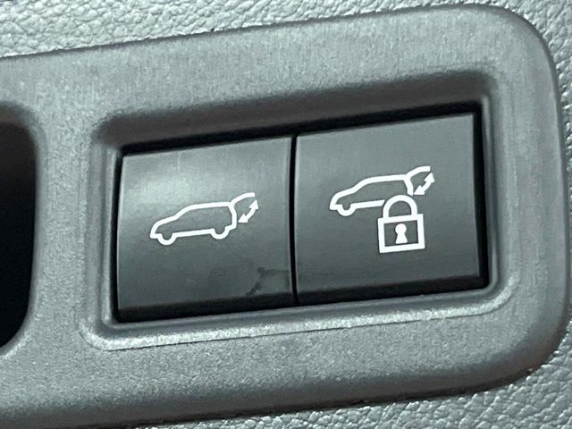 LEXUS RX500h