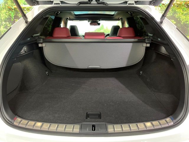 LEXUS RX500h
