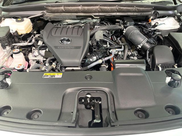 LEXUS RX500h